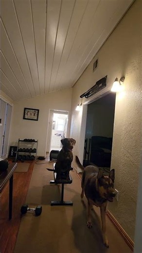 a little morning behavior chaining