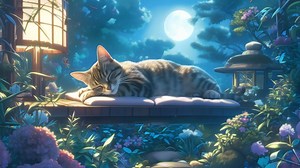 1.3K views · 54 reactions | Cat Zen Garden: Relaxation Sounds  YouTube link in comments!  | Statement Marine | Facebook