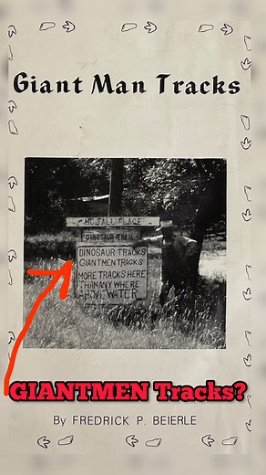 12 reactions | Giantmen Tracks on the Paluxy River19” to 22” human footprints in stone Go to: www.GiantHumans.com #evolution #gianthuman #history #giantism #antediluvian #creationism #genesis6 #nephilim #giantmentracks | Lost World Museum | Facebook
