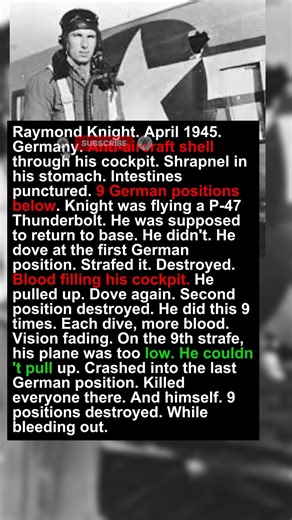 1 Gut-Shot Pilot Killed 9 Germans While Bleeding Out | Military History Talks