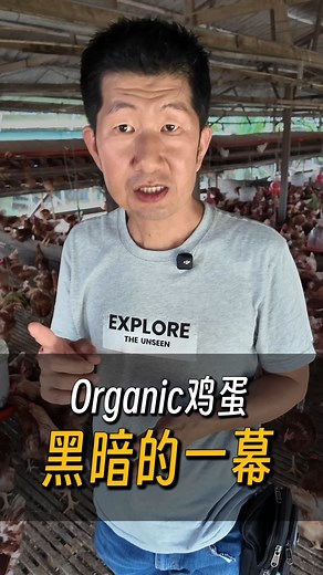 1.5K reactions · 203 shares | 当场揭开 organic 鸡蛋的黑幕！ 你花了那么多钱选的organic鸡蛋， 未必是你想象中的organic。 . 今天告诉你， 一粒真正Organic的鸡蛋， 必须有的3大条件。 . 如果你很在意， 身体健康，注重饮食， 一定要把这个video看完。 . 避免你，吃错organic的食物。 | Dan Ge 蛋哥 | Facebook