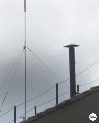 216 reactions · 20 shares | USA TODAY on Reels | Facebook