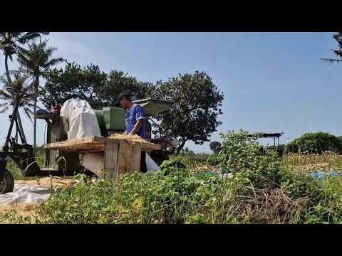 FROM HARVEST TO KERNEL IN SECONDS – MEET THE ULTIMATE CORN SHELLER! - Agriculture Farming