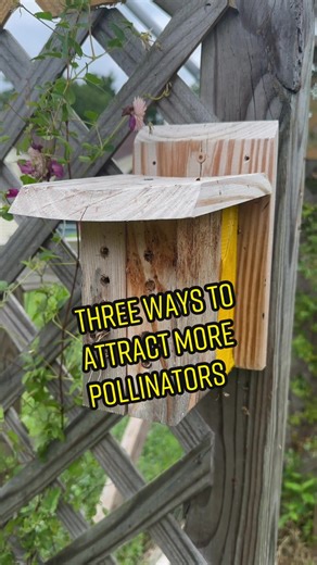 Attract more bees and pollinators to your garden! 🦋 Pollinators are a huge factor to the success of any garden. They bring more life to your garden and create better yield from your fruiting fruits and veggies. 🌺 Native plants are especially helpful because not only do they support a variety of native wildlife they help stabilize the soil and environment around them. ⛲️ Adding fountains, bird baths and bee baths or drinking areas can help attract and retain beneficial pollinators by providing 