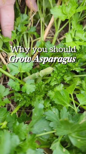 142K views · 3.4K reactions | What questions do you have about...