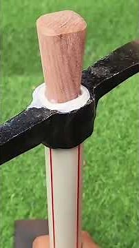 Amazing Tree Moving Machine in Action