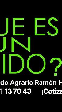 ¿Qué es un ejido?