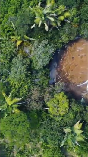 The Amazon Rainforest Like You've Never Seen Before 🌎