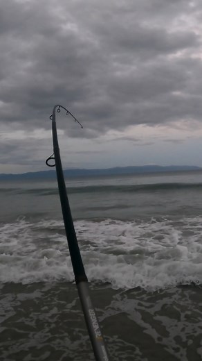 Unknown surf catch in Mexico | Bama Beach Bum