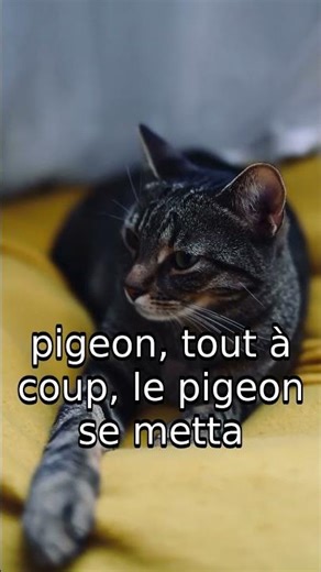 Quand la Blague du Chat Devient Épique ! 😂