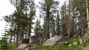 Deep Dive into Sasquatch Activity in Montana - Tracks, Reports, Evidence & Bigfoot on Camera #Montana #sasquatch #wildman #bigfoot #creature #giant #skunkape #yeti | Rocky Mountain Sasquatch Organization
