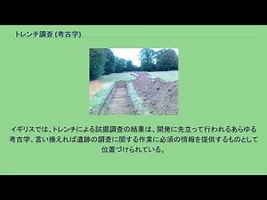 トレンチ調査 (考古学)