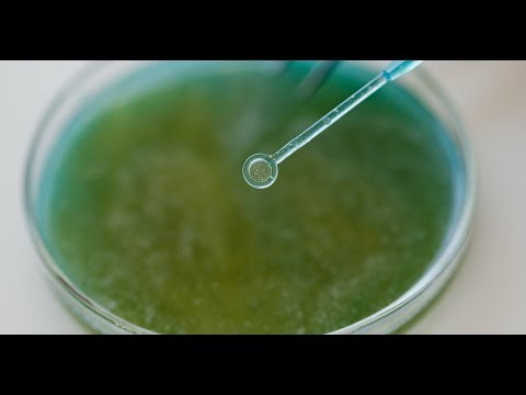 5 Hours of Deep Bass Test Tones