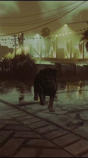 Turn Into CHOP 🐶 Peyote Location! #gtav #gtaonline #gravesight #shorts