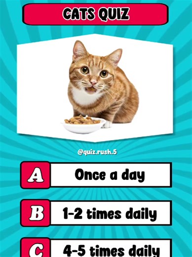 Ultimate Cat Quiz: Test Your Feline Knowledge!