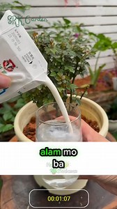 230K views · 3.4K reactions | Alam mo ba na may iba't-ibang mixture na malaki ang naitutulong sa ating mga Halaman at Bulaklak 塞 | Halaman Kaalaman | Facebook