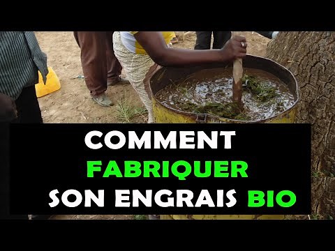 AGRICULTURE: Here are 3 Hidden Tips for Making Your Own Organic Fertilizer