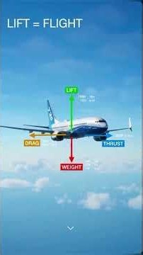 What Happens If an Airplane's Wing Breaks During Flight?