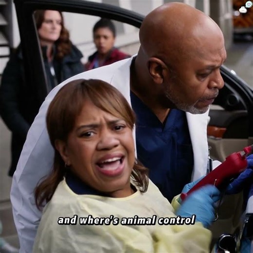 He's gone mad; he's keeping a Burmese python as a pet💀