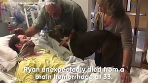 449K views · 11K reactions | HEARTBREAKING: Hospital allows devoted...