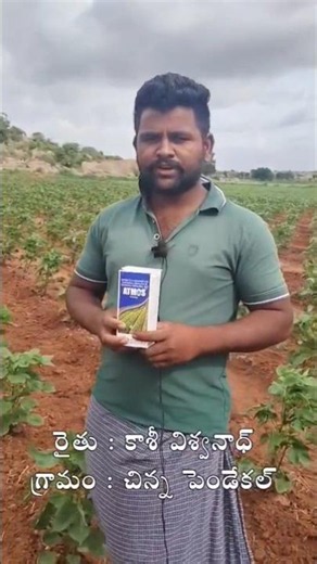 Chinna Pendekal Demo Slot #Atmos #Adoni #Natco #Viral #Trending #shorts