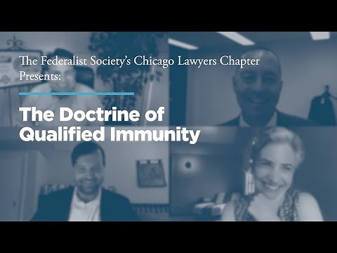 The Doctrine of Qualified Immunity