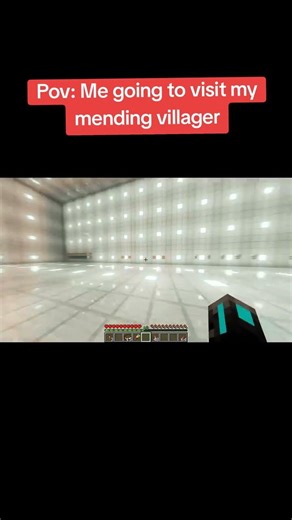 POV: Going to visit the mending villager #minecraft #minecraftmemes #gaming #funny