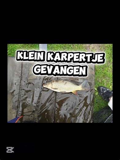 vissen met de Method feeder🎣