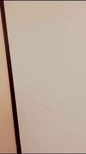 The Ultimate ABBA Tribute is just one day away! 🕺 Don’t miss this incredible performance - tickets available here: https://www.phoenixsymphony.org/show/the-ultimate-abba-tribute/ Rajaton | The Phoenix Symphony