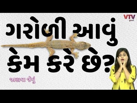 V H PA 555 લાઇવ છે!