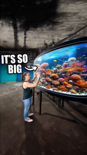The First Time That Lori Saw This Tank! | Brian Barczyk