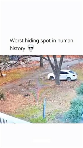 NPC SYNC on Instagram: "This might genuinely be the worst hiding spot in human history, and that’s not even an exaggeration. Bro decided that an open, empty space with absolutely nothing to hide behind was the perfect place to disappear. No bushes, no walls, no shadows—just him standing there like a paused NPC hoping stealth mode would magically activate. From a distance, you could probably spot him before even noticing the police car. The cop didn’t even have to search. One glance was enough to