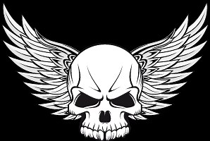 How to use trimpod 2.0 women's shaver