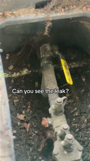 Backflow sprinkler leak