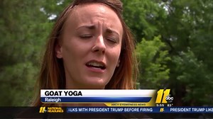 Goat Yoga: The wild exercise craze descends on Durham