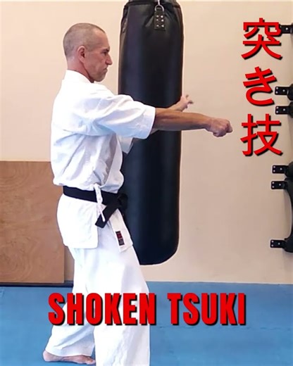 #okinawa #traditional #karate #uechi #ryu #basic #technique #short #punch #drill #performance