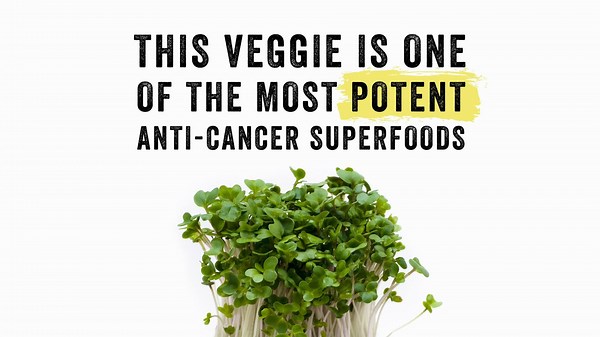 This veggie is one of the most potent anti-cancer superfoods! Drop a “🌱” if you’d like the recipe to my Giant Cancer-Fighting Salad. This salad was an integral part of my healing strategy. 👉 Need ideas on how to incorporate more broccoli into your diet? Check out my cookbook, Beat Cancer Kitchen here, https://amzn.to/3x8zR7z 💌 Don’t forget to share this with a loved one! #sprouts #cancer #broccoli | Chris Beat Cancer