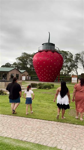 3.1M views · 9.7K reactions | October is teacher appreciation month. Here’s to our teachers who really inspire our children’s passion for reading, their creativity and for developing curious minds: thank you teachers. Like and share to show your appreciation to our teachers. | Western Cape Education Department | Facebook
