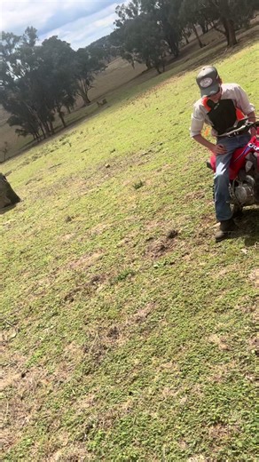 Put rounding up cows @_maxx @Noah @aussiefarmsmedia @bob/charlie H @Jimmy @Amelia #bikes #farmen