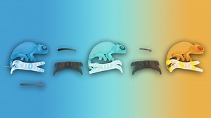 Chameleon-like robots can change color and blend into their surroundings