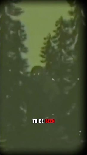 Appalachian Mountains RULES You Shouldn’t Break #shorts