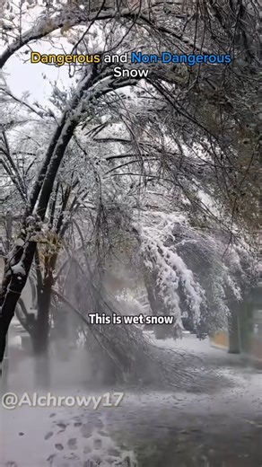 What type of snow do you like?❄️⛄️ #snow #shorts