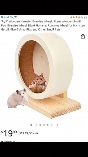 ¿Cómo cuidar de un hámster fancy bear?