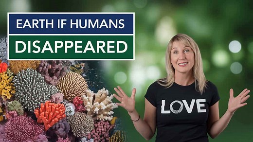 What Earth Would Look Like If Humans Disappeared Tomorrow