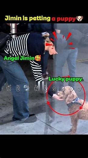 Jimin couldn't resist stopping to pet an adorable puppy in NYC airport..