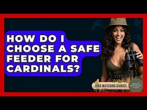 How Do I Choose A Safe Feeder For Cardinals? - Bird Watching Diaries