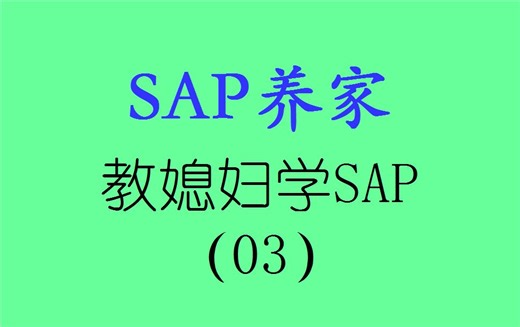 教媳妇学SAP_MM03 SAP S4 HANA SAP MM SAP FICO SAP ABAP