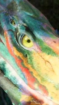 Avatar Frontiers of Pandora // Making connection with Mountain Banshee IKRAN #avatarworld #ubisoft