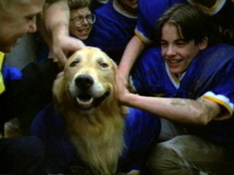 Air Bud: Golden Receiver (1998)