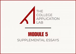 Module 5: Supplemental Essays